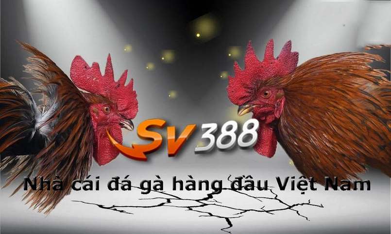 Hướng dẫn Lucky88 - Xác định đúng phiên bản
